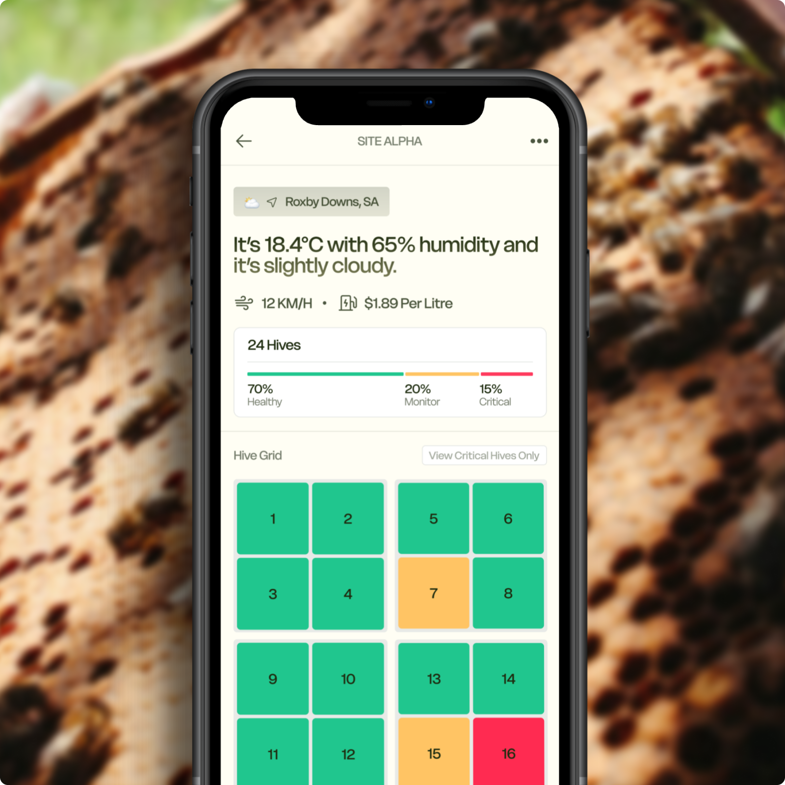 Beestar App on iPhone showing hive status dashboard